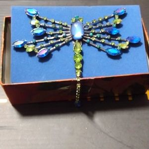 Dragon fly brooche